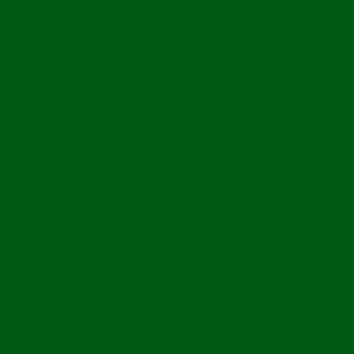 Color HEX #005915 