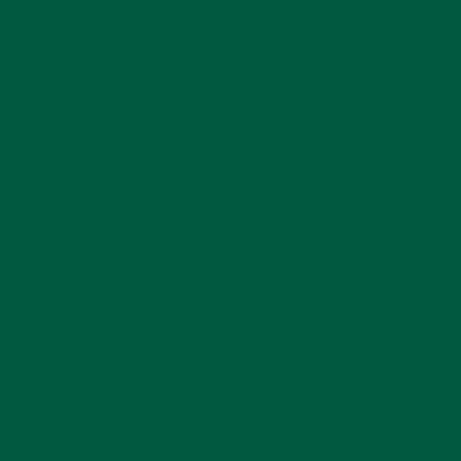 Color HEX #005941 