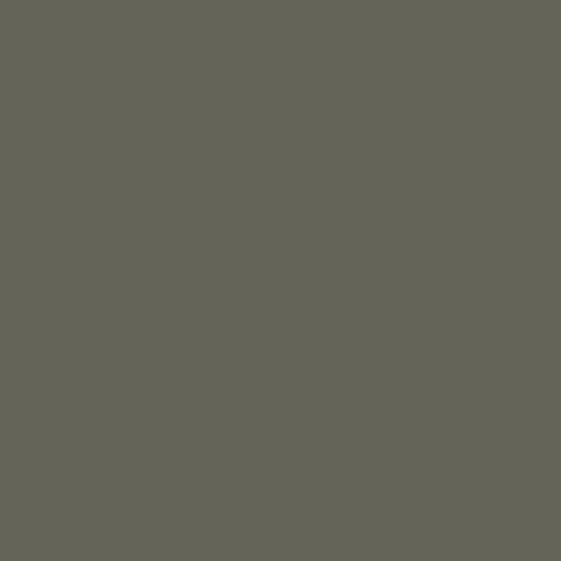 Color HEX #656459 