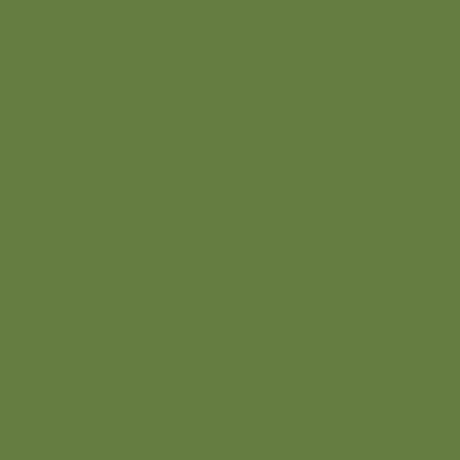 Color HEX #657d41 
