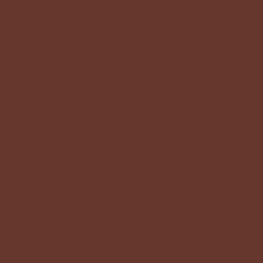 Color HEX #65372d 