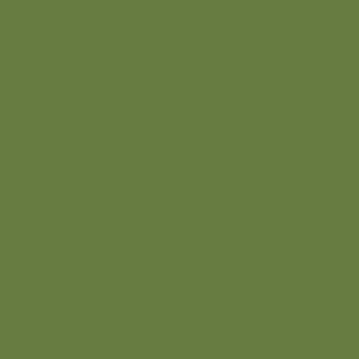 Color HEX #677d41 