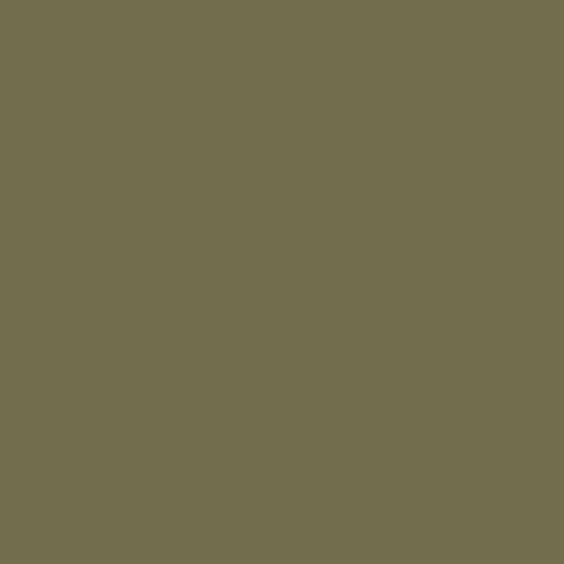 Color HEX #726d4c 