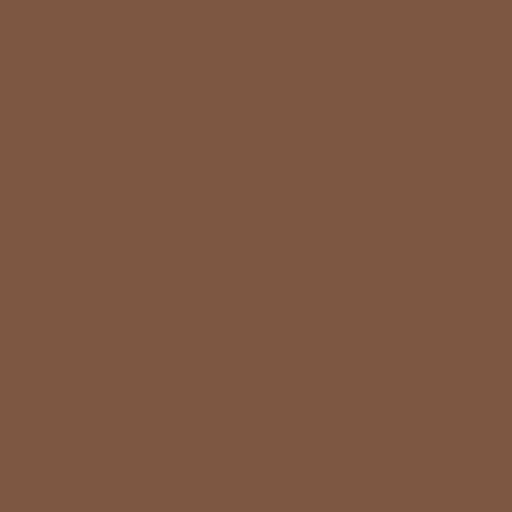 Color HEX #7d5741 