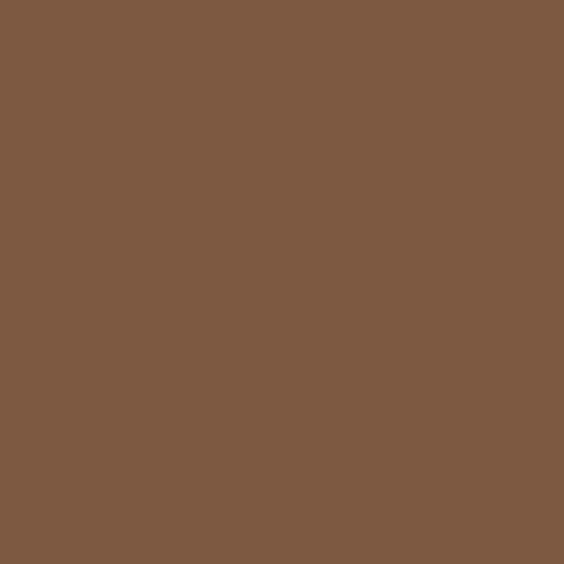 Color HEX #7d5941 