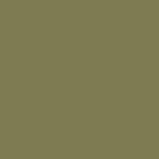 Color HEX #7e7b52 