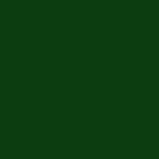 Color HEX #0d3a11 