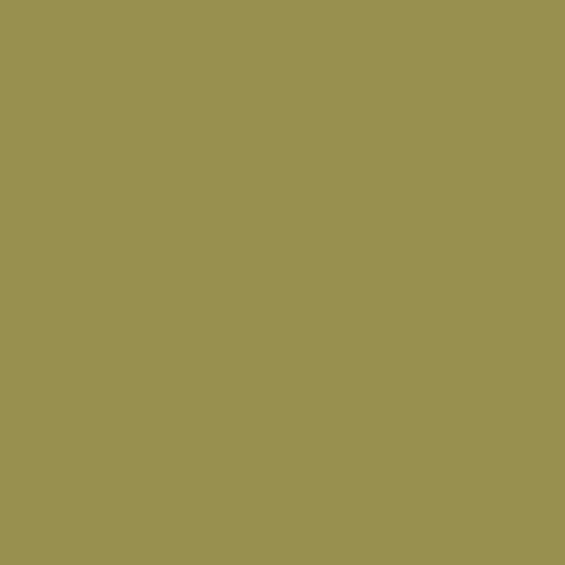 Color HEX #968f4e 