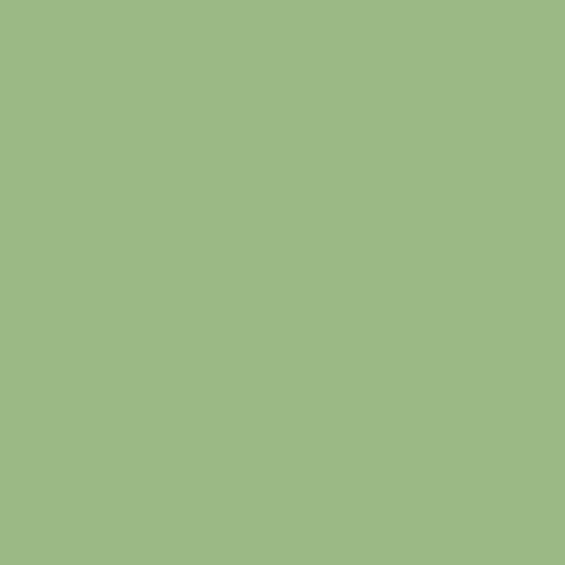 Color HEX #9ab984 