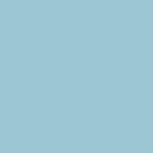 Color HEX #9ac7d2 