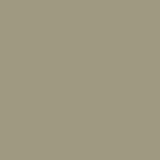Color HEX #9d9a80 