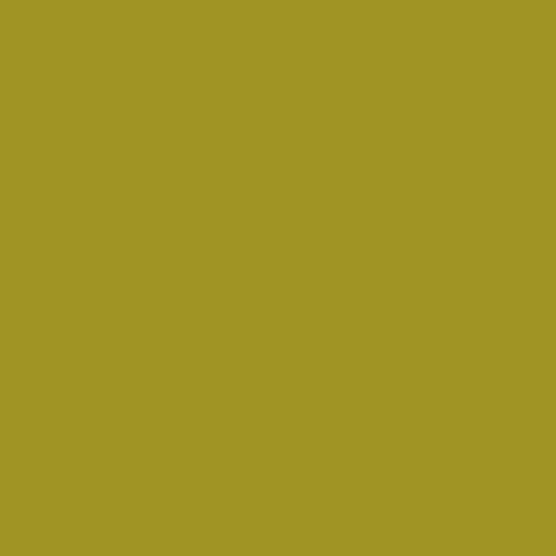 Color HEX #a09523 
