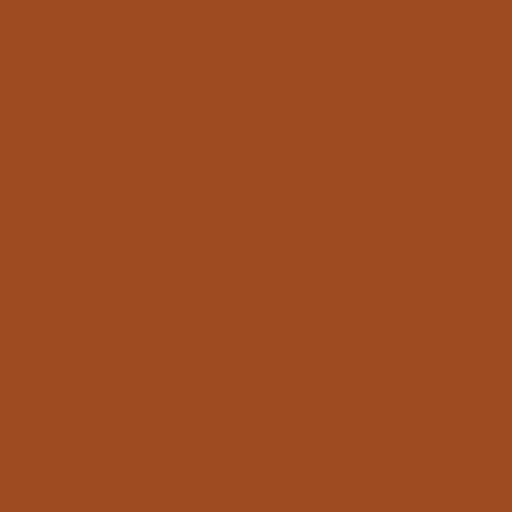 Color HEX #a04a23 