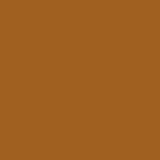Color HEX #a06020 