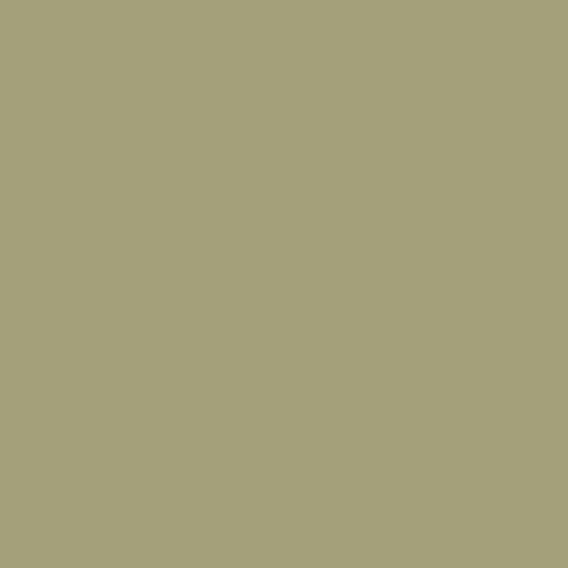 Color HEX #a4a079 