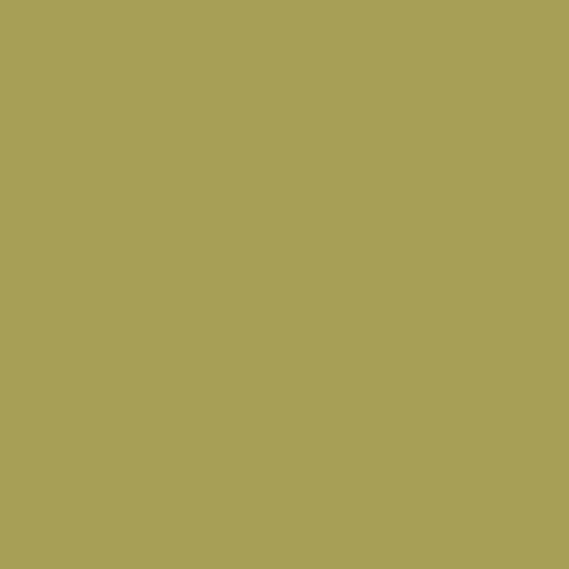 Color HEX #a79f57 