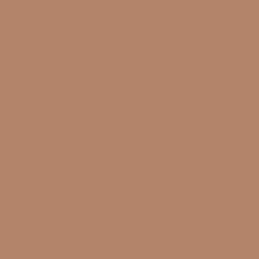Color HEX #b2856b 