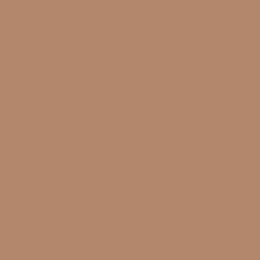 Color HEX #b2876b 