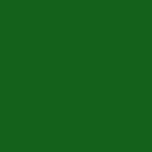 Color HEX #14611a 