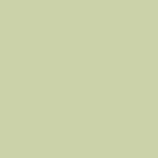 Color HEX #cbd2aa 
