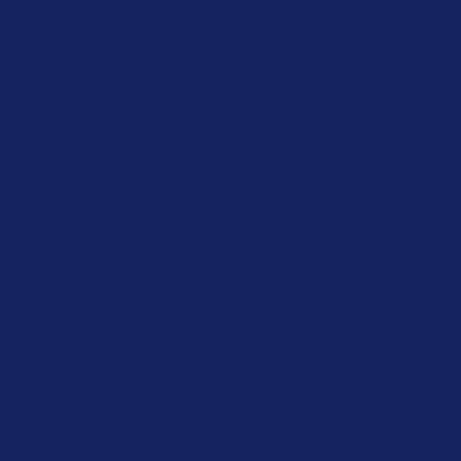 Color HEX #152460 