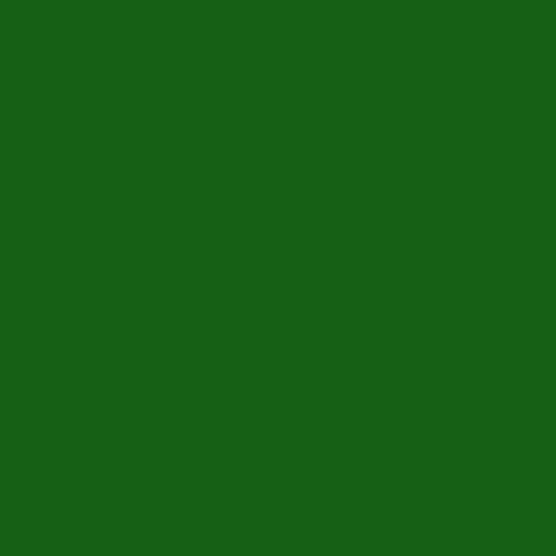 Color HEX #156015 