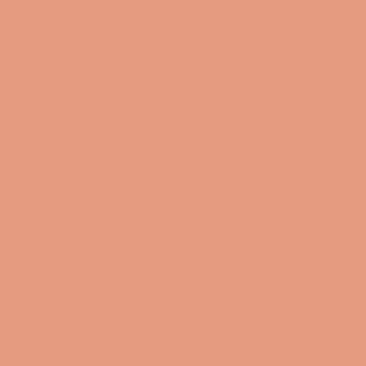Color HEX #e39c7e 
