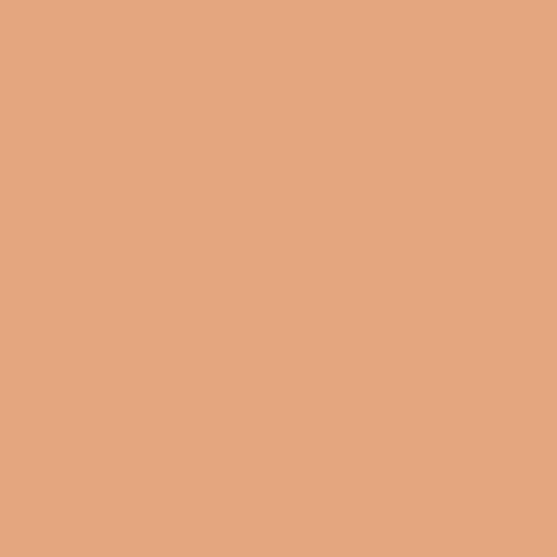 Color HEX #e3a67e 