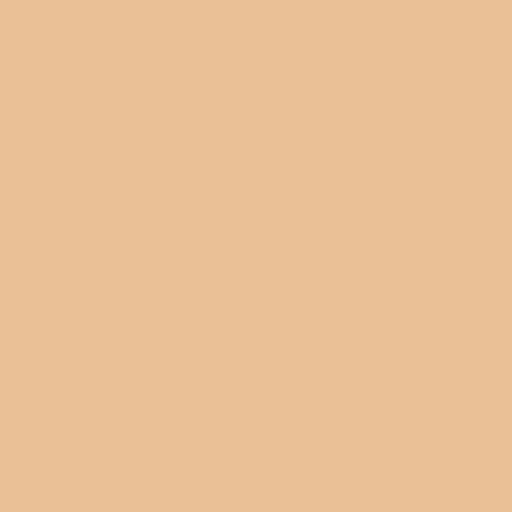 Color HEX #eac096 
