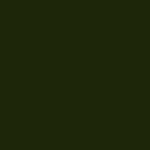 Color HEX #1d2608 