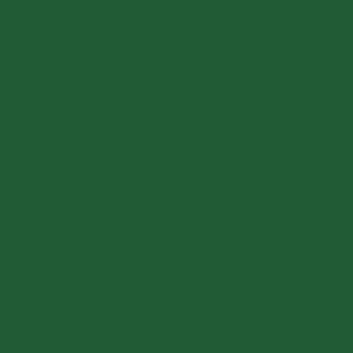 Color HEX #215b33 