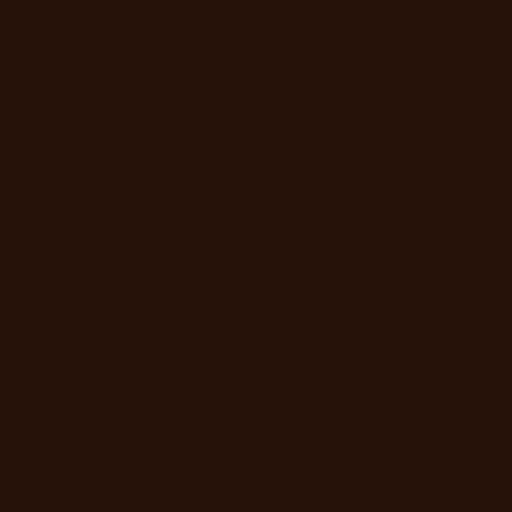 Color HEX #261208 