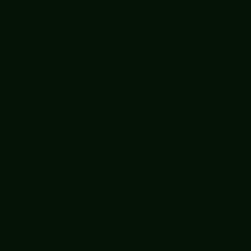 Color HEX #041305 
