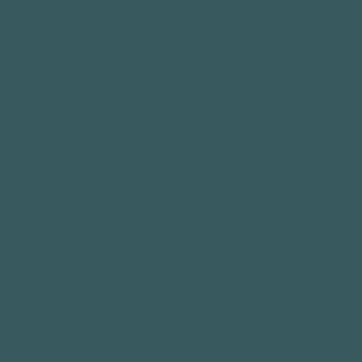 Color HEX #385a5e 