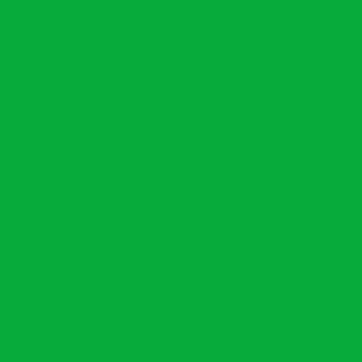 Color HEX #06ab3c 