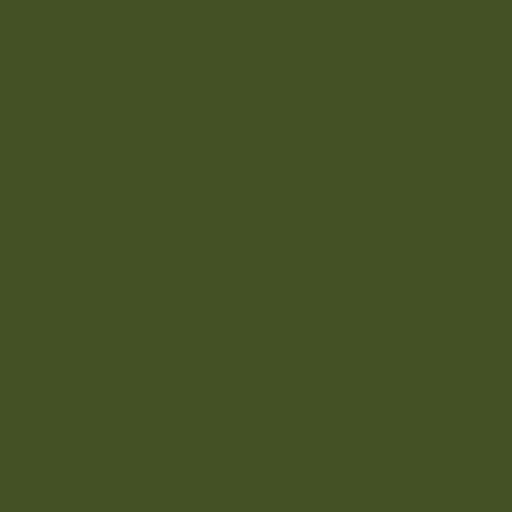 Color HEX #435124 