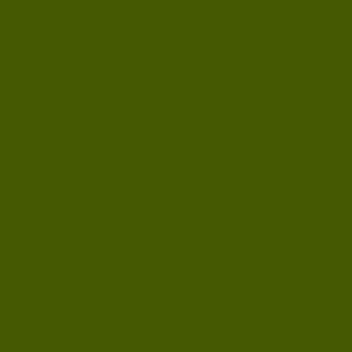 Color HEX #445900 