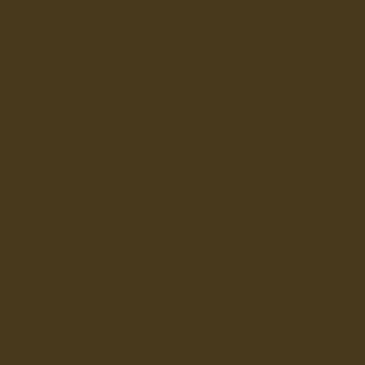 Color HEX #48391d 