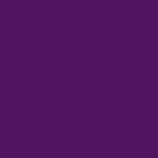 Color HEX #511560 