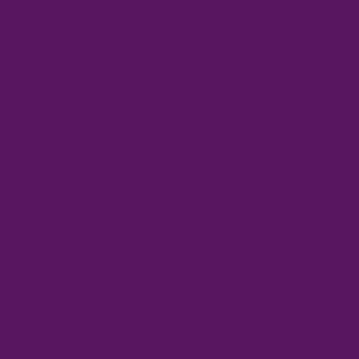 Color HEX #581560 