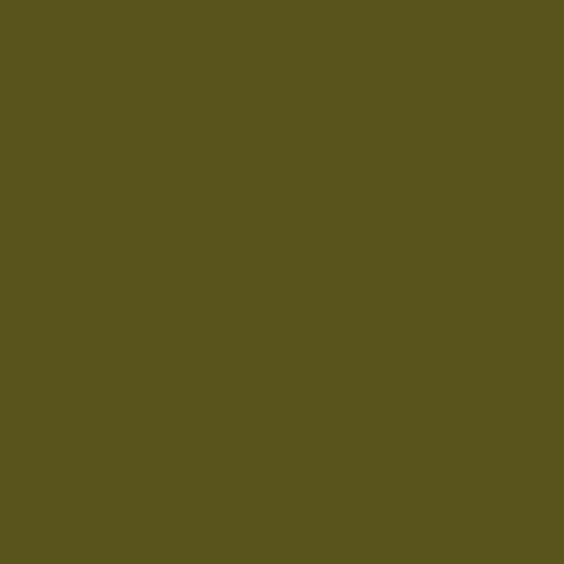 Color HEX #59531c 