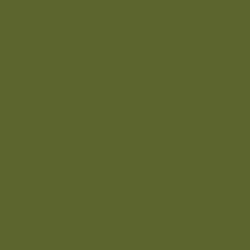 Color HEX #5b652d 