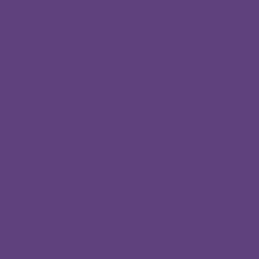 Color HEX #5f417d 