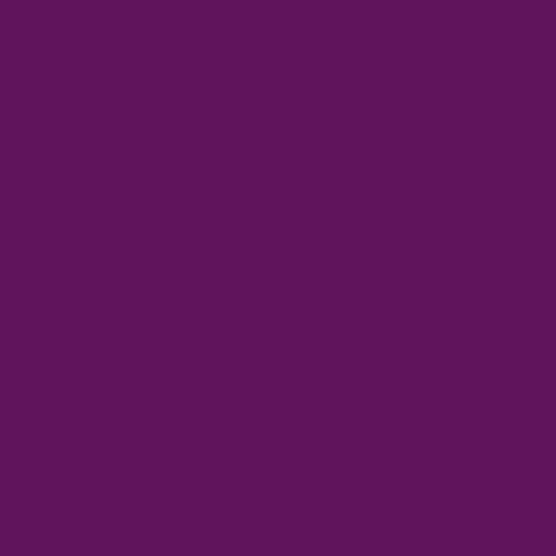 Color HEX #60155a 